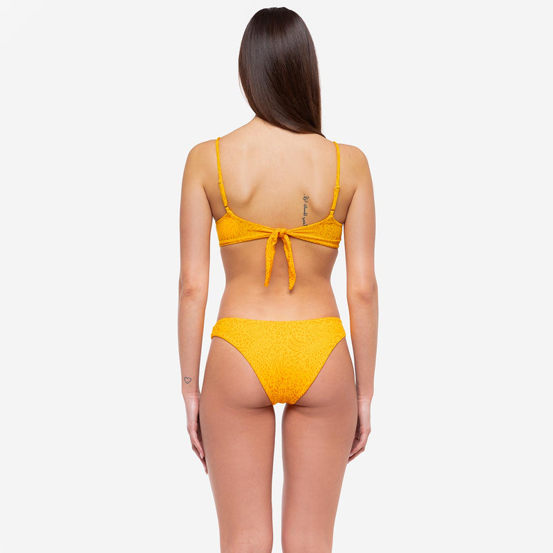 Bralette Bikini + 